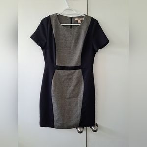 Form fitting business dress